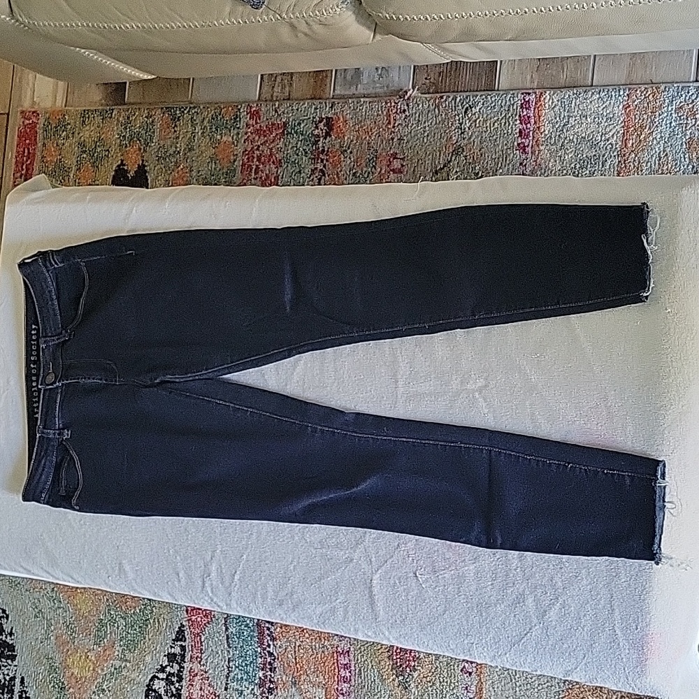 Articles of Society size 27 skinny jeans dark, frayed hem